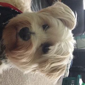 Meet your Posher, Angela